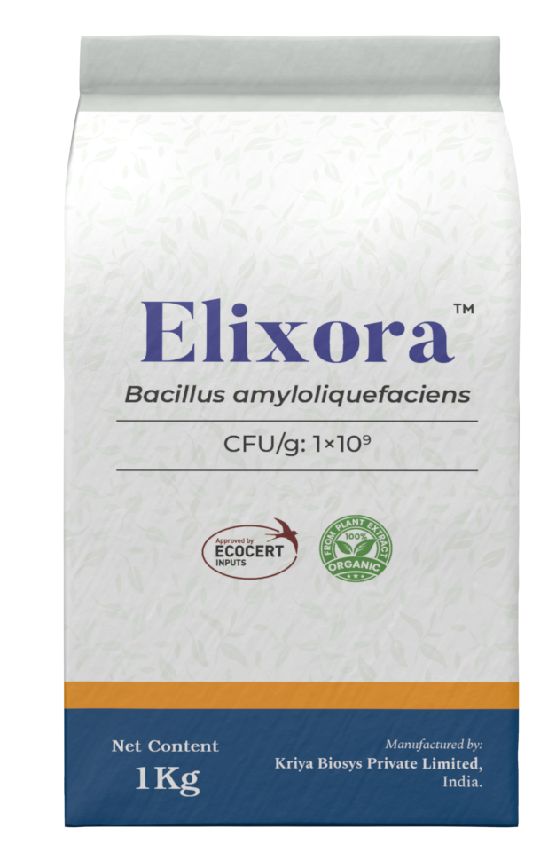 Elixora WP packshot placeholder